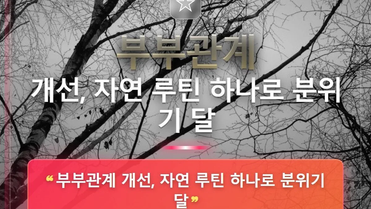 부부관계 개선, 자연 루틴 하나로 분위기 달 — 홈판 썸네일