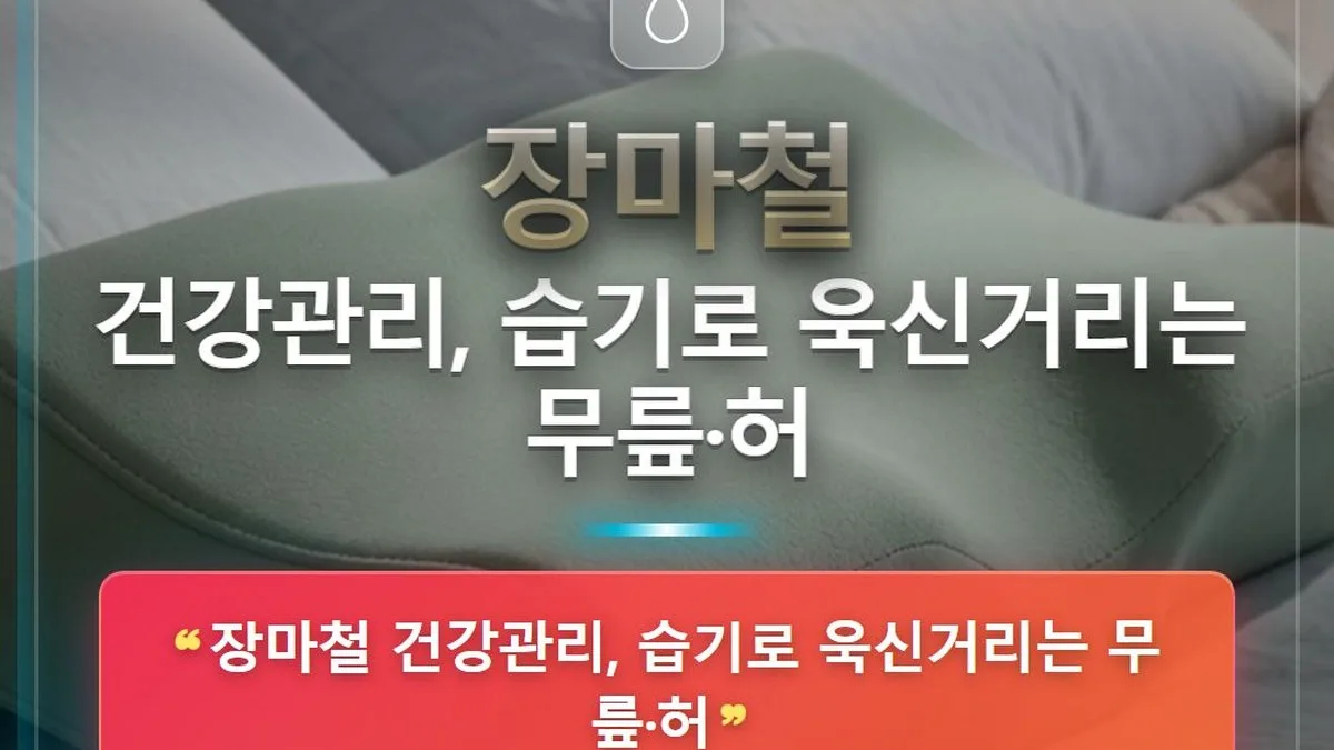 장마철 건강관리, 습기로 욱신거리는 무릎·허 — 홈판 썸네일