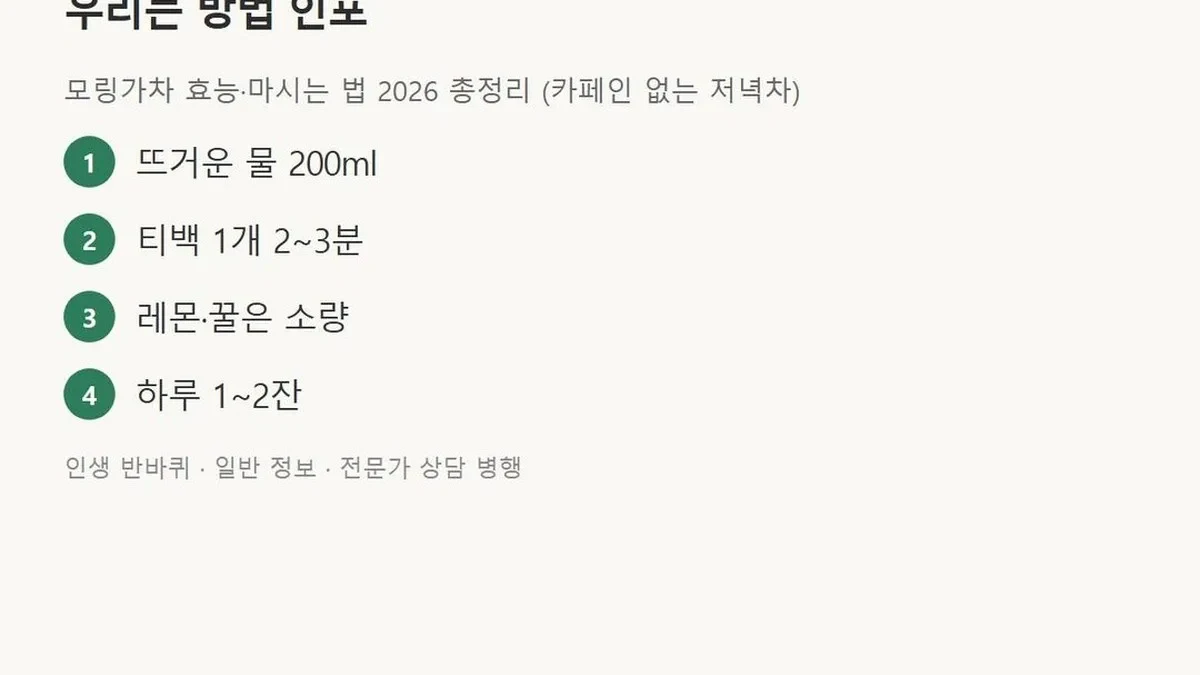 모링가차 — 체크포인트와 순서 — 모링가 티백·따뜻한 차